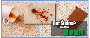 Carpet Cleaning - Got Stains? We Can Help!