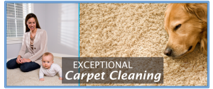 Exceptional Carpet Cleaning Hanover & York, PA