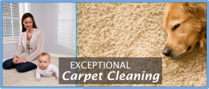 Exceptional Carpet Cleaning Services Hanover & York, PA