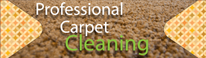 Professtional Carpet Cleaning Services York, PA