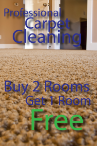 Special Pricing on Professional Carpet Cleaning In Hanover, PA! Buy 2 rooms get 1 free!