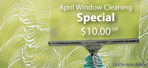 $10 off window cleaning this month!